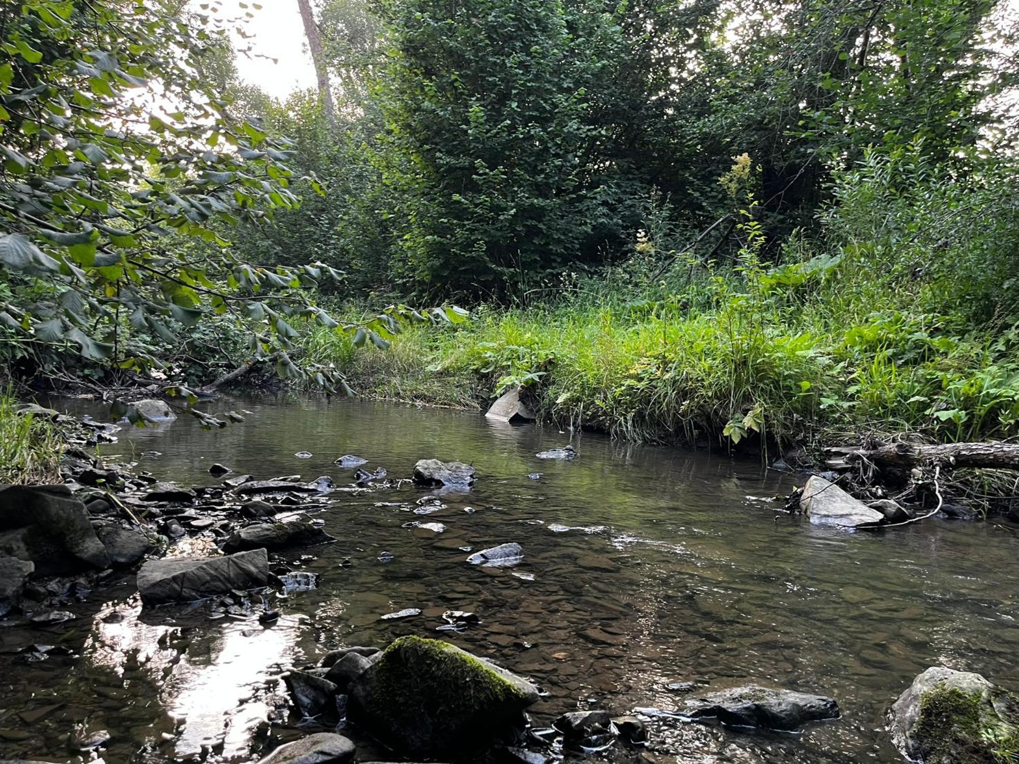Osrodek Volfcamp Kwaszenina Appartement Arłamów Buitenkant foto